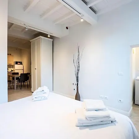 Appartement San Frediano Moderna Florence